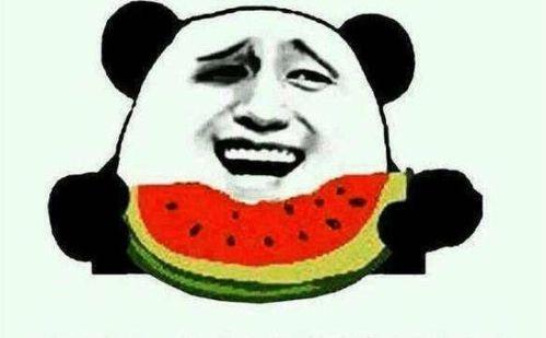 一个娱乐圈吃瓜群众的,揭秘吃瓜群众的幕后故事