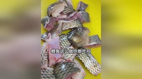 吃瓜娱乐小鲤鱼视频
