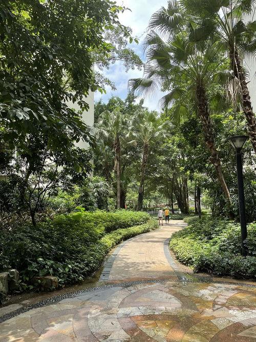 嘉禾望岗娱乐吃瓜地,揭秘网红聚集地的幕后故事