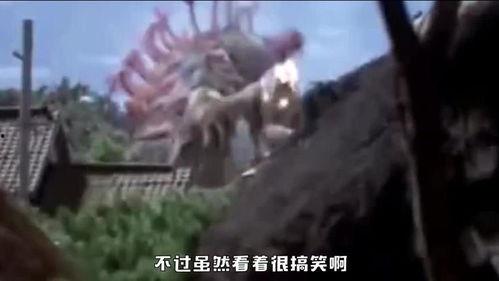 麦克斯搞笑视频,笑料百出，欢乐无限